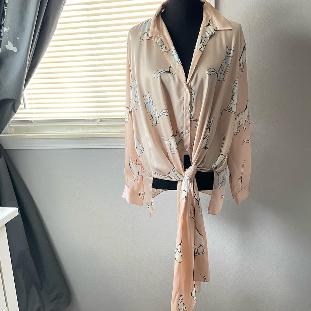 ZARA Cat Print Satin Blouse